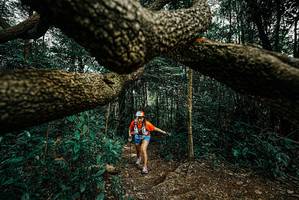 BIB: 
                            <button type="button" onclick="openModal(25701185)" class="btn btn-primary btn-sm float-right btn-popup" data-toggle="modal" data-target=".modal-high-quality">
                        <i class="fas fa-shopping-cart"></i> Add to Cart
                    </button>
                                            <button type="button" onclick="isThisMe(25701185, true)" class="btn btn-success btn-sm float-right btn-popup btn-isme hidden" data-toggle="tooltip" data-placement="bottom" title="นี่คือรูปของคุณใช่ไหม คลิกที่นี่เพื่อเอาเข้าอัลบั้ม">
                        <i class="fas fa-plus"></i> Add to album
                    </button>
                    <button type="button" onclick="isThisMe(25701185, false)" class="btn btn-warning btn-sm float-right btn-popup btn-isnotme hidden">
                        <i class="fas fa-ban"></i> Remove from album
                    </button>